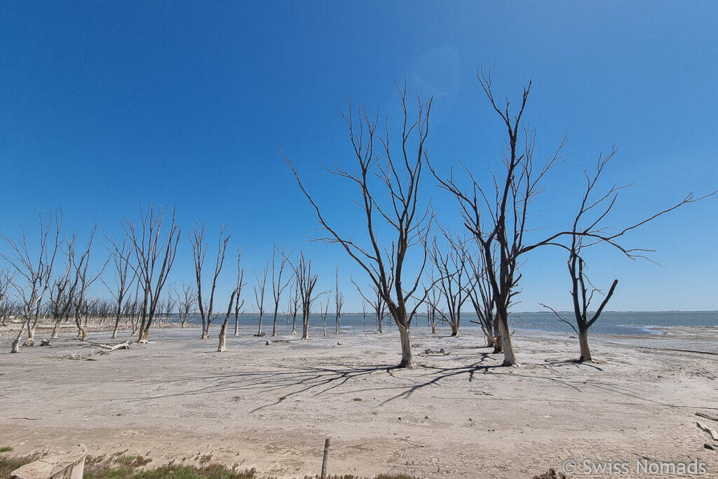 Laguna Epecuen auf der Fahrt quer durch Argentinien