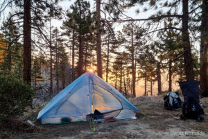 Read more about the article Pacific Crest Trail Section C – Von der Interstate 10 bei Cabazon zur Interstate 15 beim Cajon Pass in Kalifornien