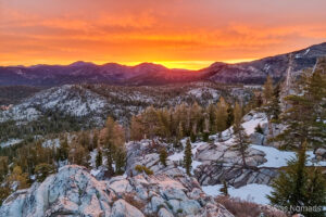Read more about the article Pacific Crest Trail Section J – Von Sonora Pass (Hwy 108) bis Echo Lake (South Lake Tahoe) in Kalifornien