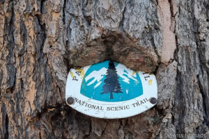 Read more about the article Pacific Crest Trail Section D in Oregon – Hwy 138 Cascade Crest bis Hwy 58 Willamette Pass