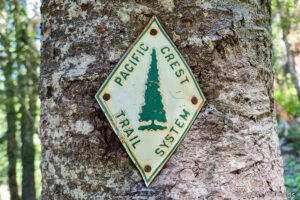 Read more about the article Pacific Crest Trail Section H in Washington – Cascade Locks bis Hwy 12 White Pass