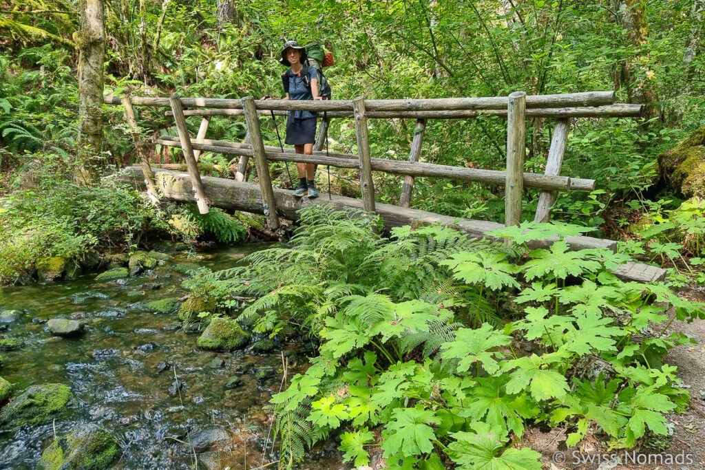Grüner Wald PCT Washington