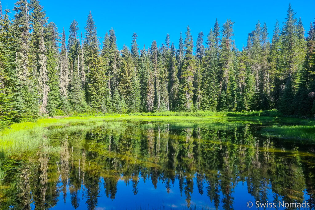 See im Wald von Washington