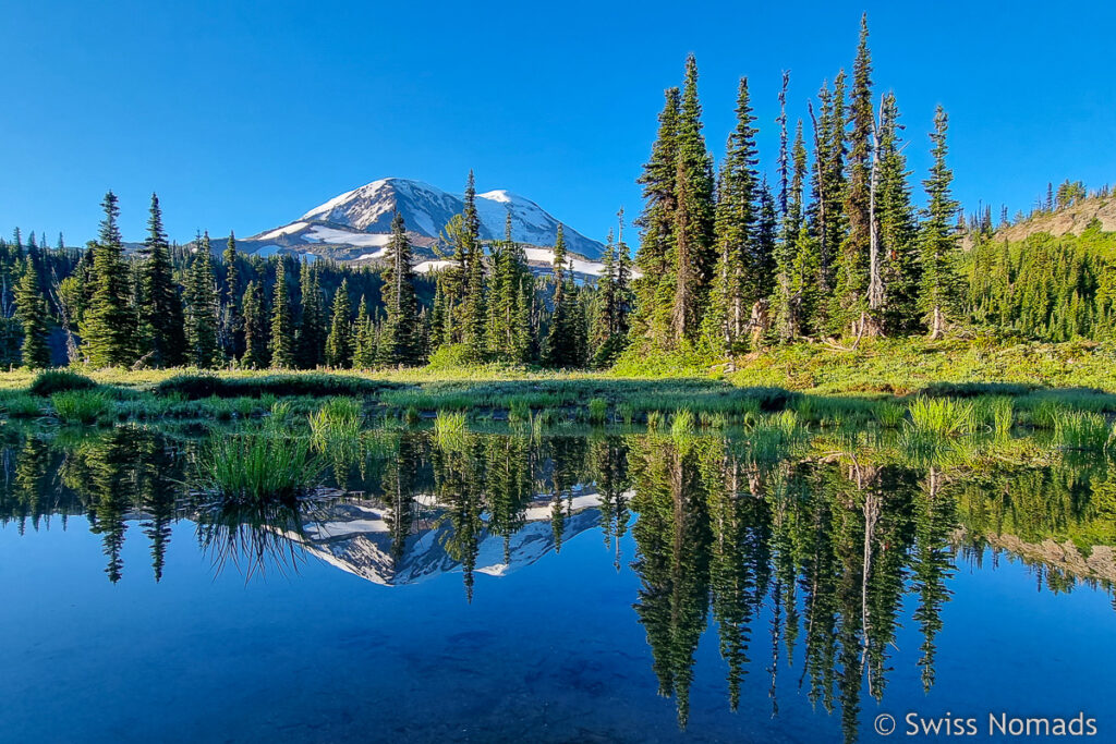 See am PCT mit Mt Adams