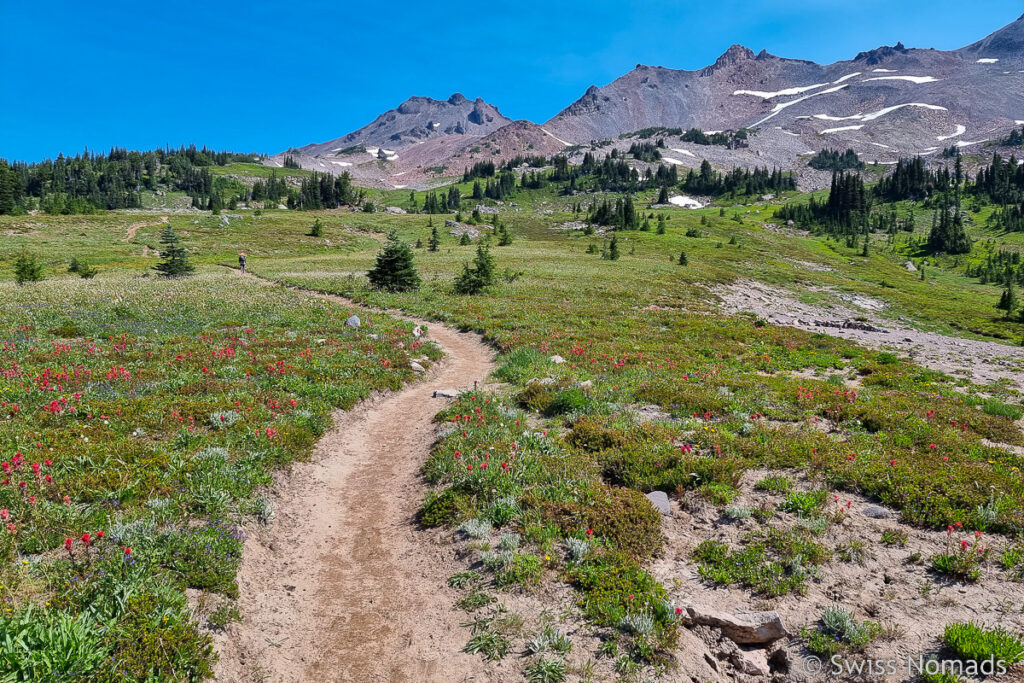Wandern entlang des PCT in Washington