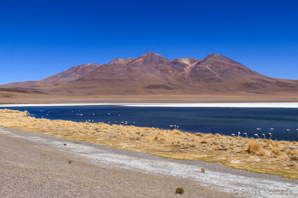 Laguna Canapa in Bolivien