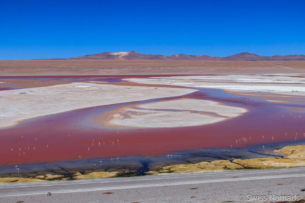 Laguna Colorado in Bolivien