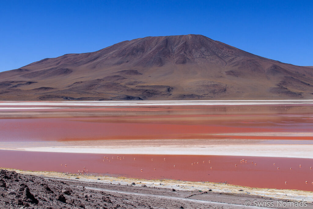 Lagune Colorado in Bolivien