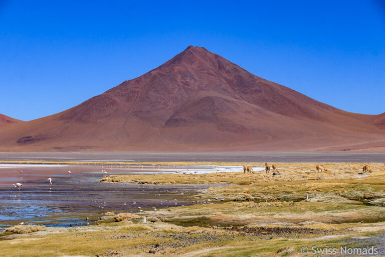 Lagunenroute in Bolivien