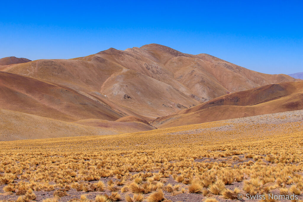 Landschaft in der West Puna von Argentinien