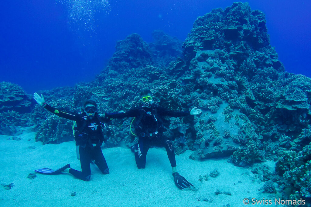 Tauchen zum Moai auf Rapa Nui