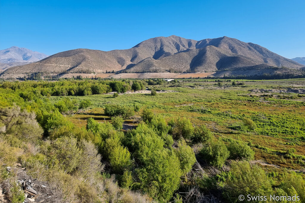 Schlafplatz mit Aussicht ins Elqui Tal