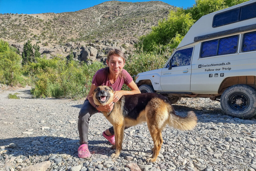 Wachhund am Rio Hurtado