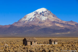 Read more about the article Der Sajama Nationalpark in Bolivien wird vom Vulkan Nevado Sajama geprägt