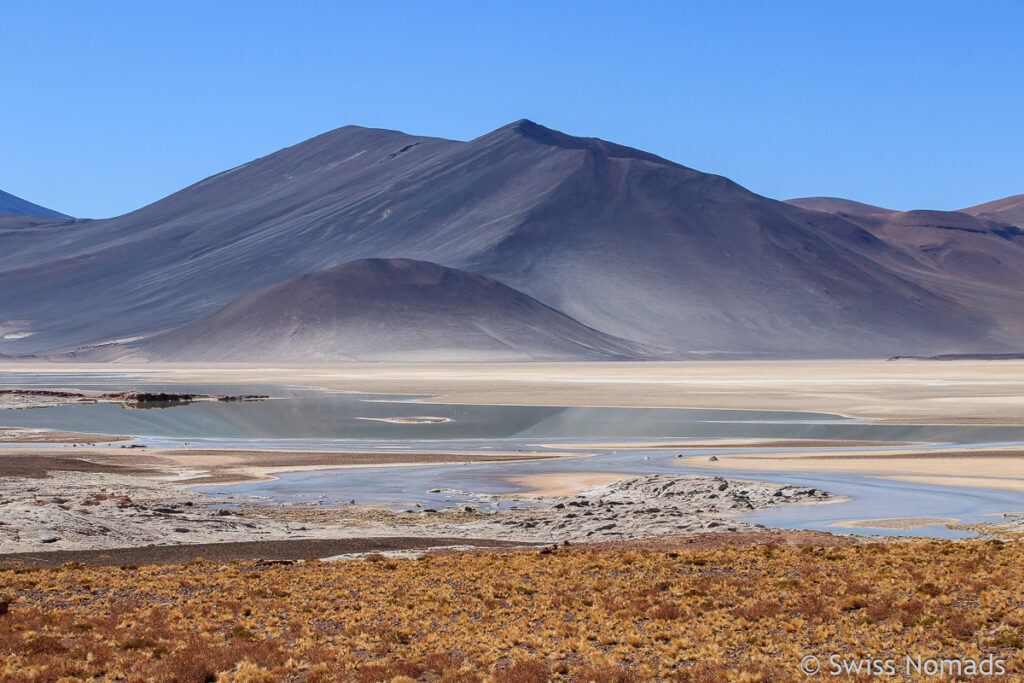 Salar de Aguas Calientes bei San Pedro de Atacama