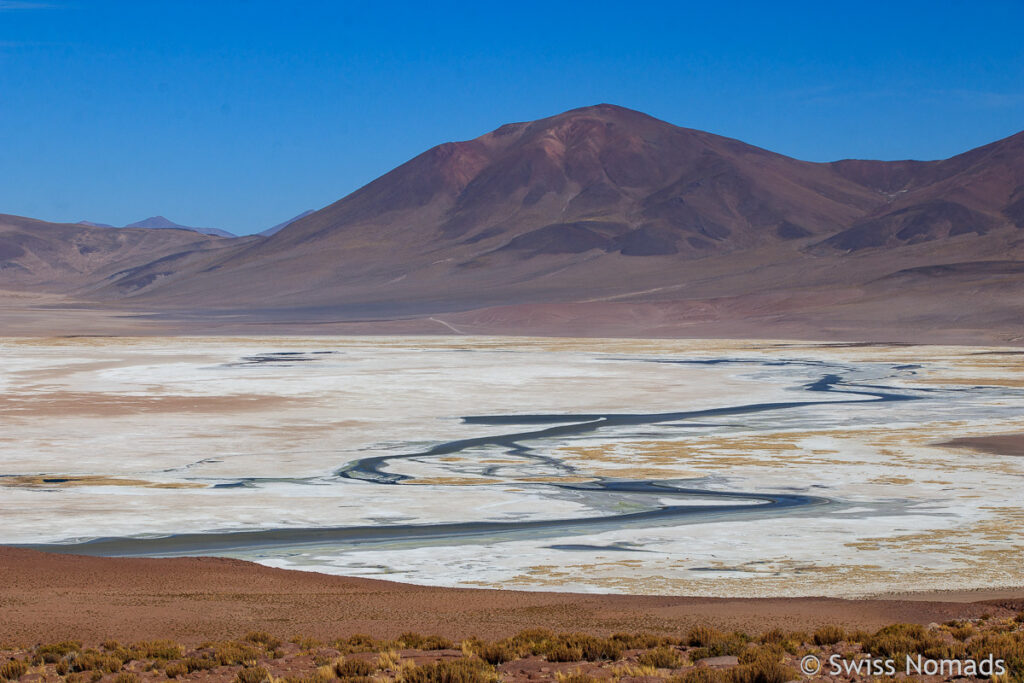 Salar de Huasco in Nord Chile