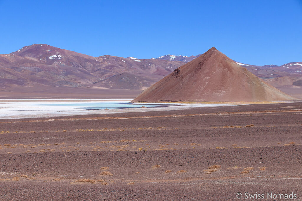 Salar de Maricunga in Chile