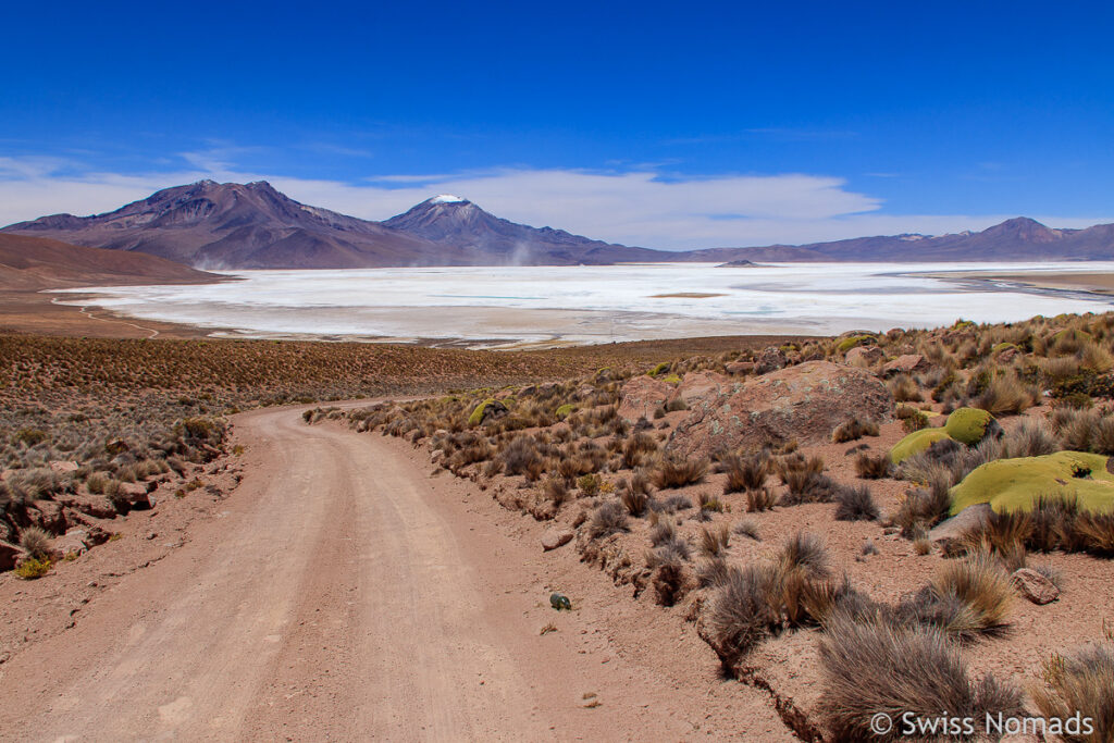 Salar Surire im Grossen Norden von Chile