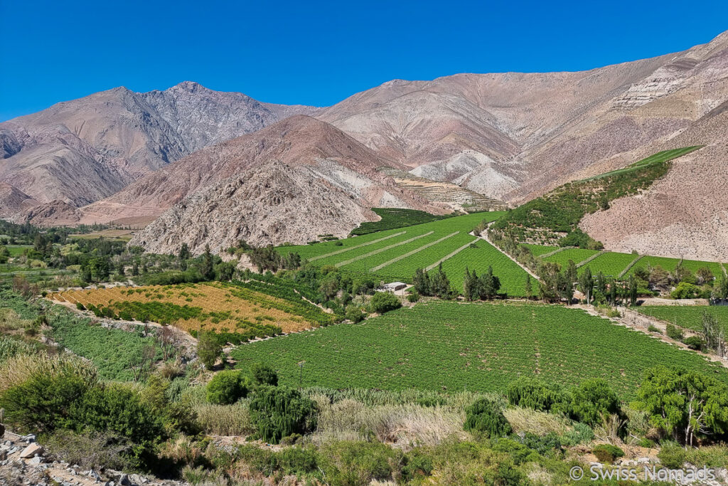 Valle del Elqui in Chile