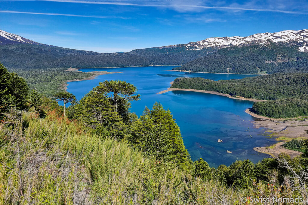 Lago Conguillio im Kleinen Süden Chile