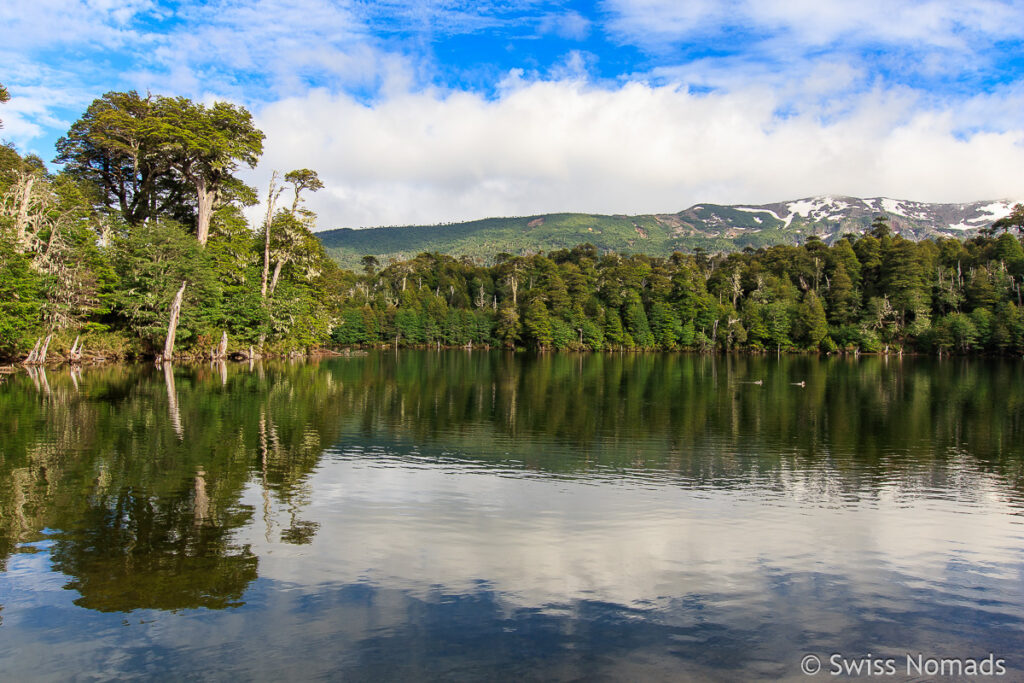 Laguna Captrén Kleiner Süden Chile