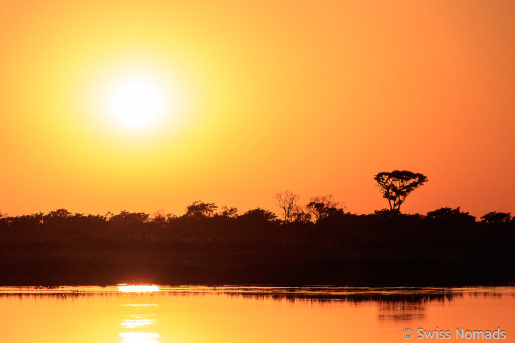 Morgenstimmung im Pantanal