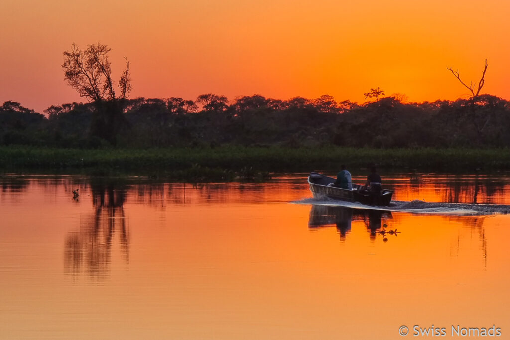 Sonnenaufgang auf dem Ponton durch das Pantanal