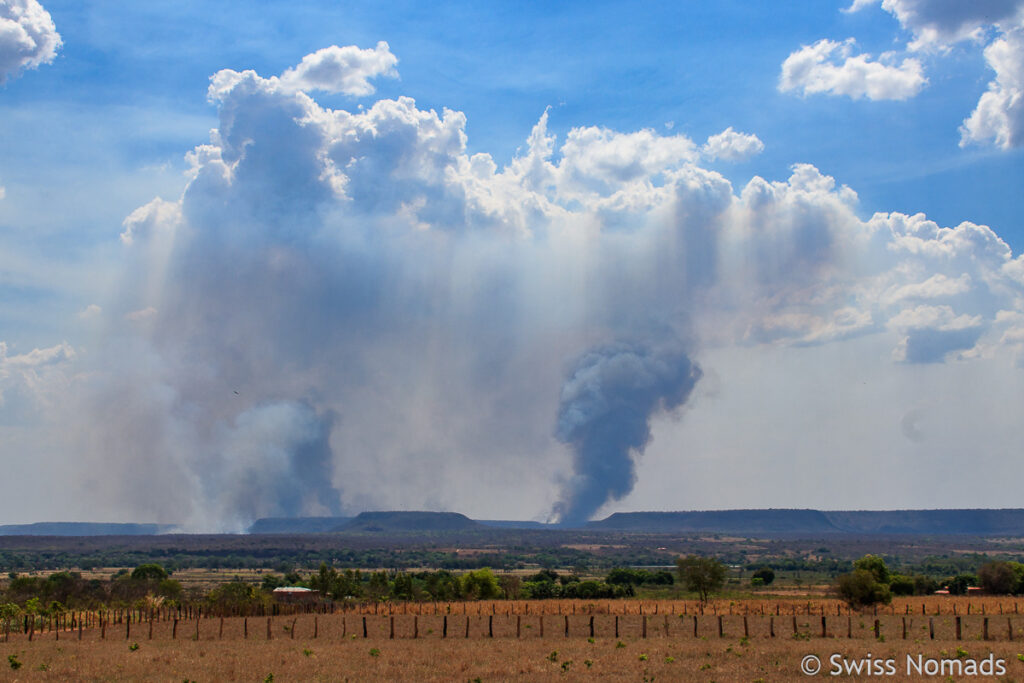 Rodungs Brände in Brasilien