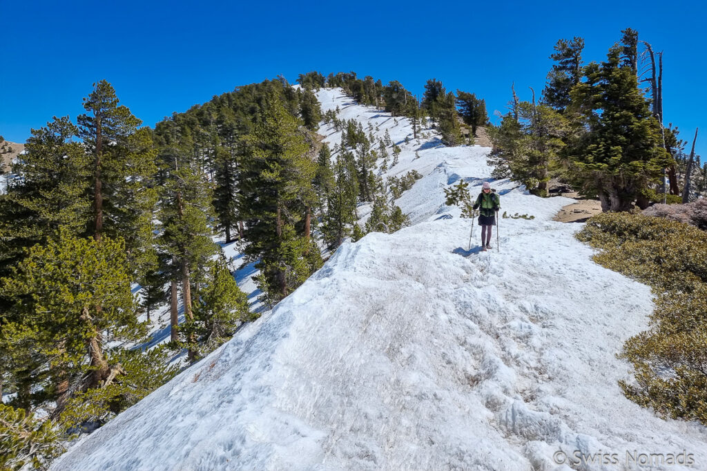 Pacific Crest Trail Schneelandschaft