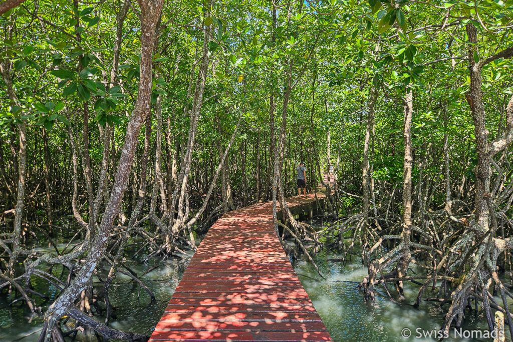 Koh Chang Mangrove Walk