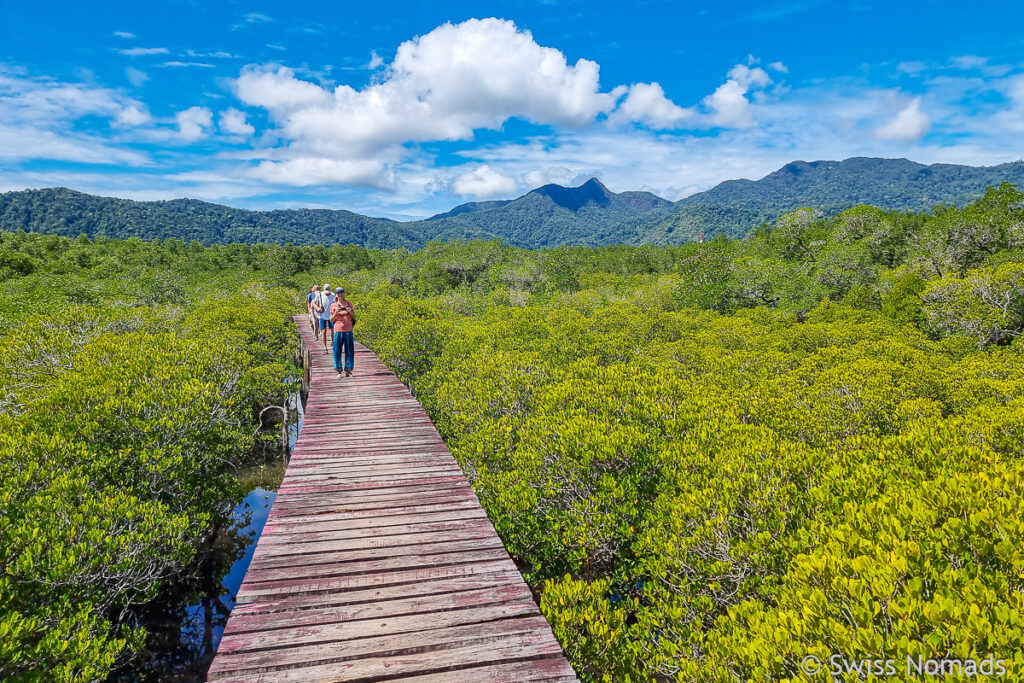 Mangrove Walk auf Koh Chang Sehenswürdigkeiten