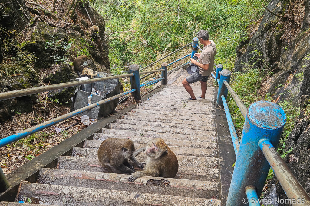 Treppe zum Tiger Cave Tempel in Krabi
