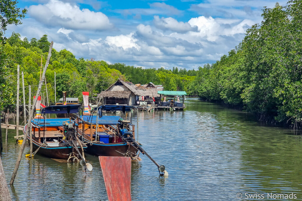 Mangrovenwald auf Koh Lanta