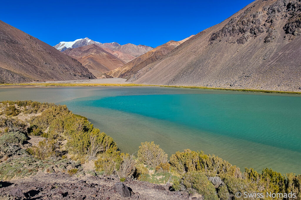 Laguna Blanca mit Cerro Mercedario
